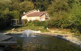 Le Jardin Ombrage