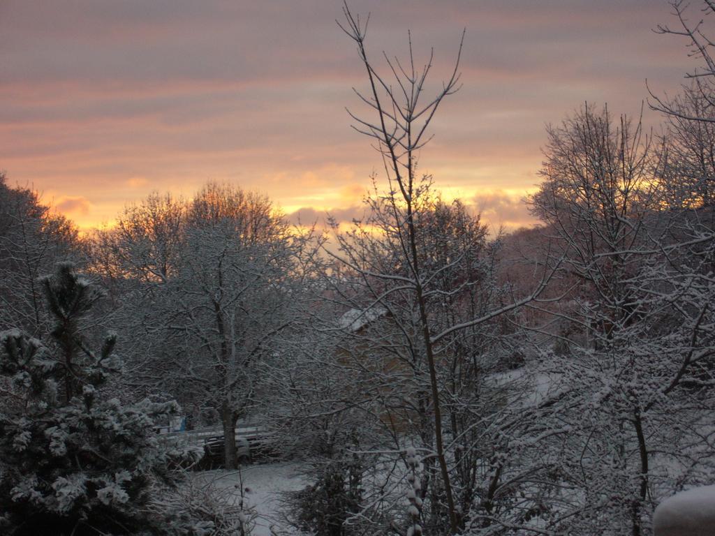 Le Jardin Ombrage Bed and Breakfast Saint-Paul-dʼIzeaux Buitenkant foto